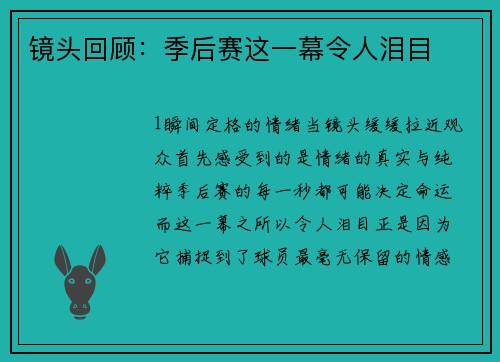 镜头回顾：季后赛这一幕令人泪目