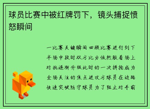 球员比赛中被红牌罚下，镜头捕捉愤怒瞬间